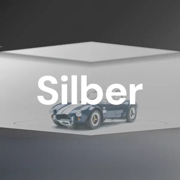 Silber - Stage Hydro (Druckqualität)